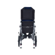 Bion Recliner Pushchair G910